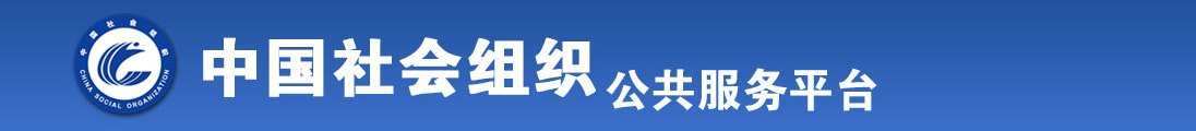 啊啊啊艹我视频全国社会组织信息查询